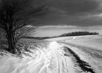 The View from the Firetower on Flat Top Mountain