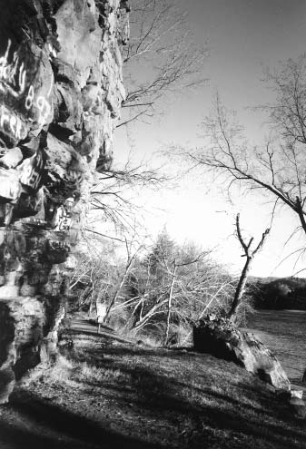 Stalking the Elusive Carolina Petroglyph
