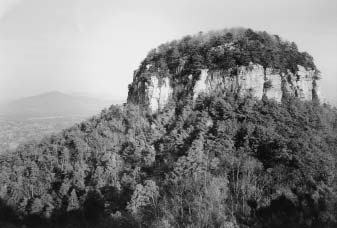 Running the Scenic Crest of the Sauratown Mountains