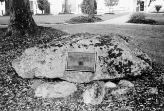 Tarleton's Tea Table